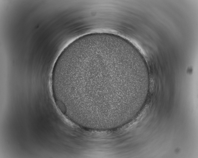 X0000103270895200809191739
