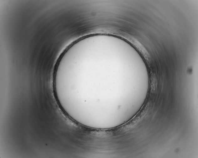 X0000103270896200809191739