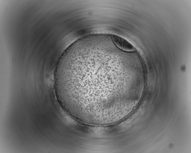 X0000103270897200809191739