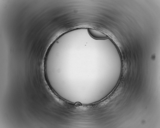 X0000103270898200809191739
