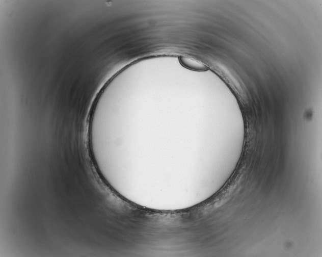 X0000103270900200809191739
