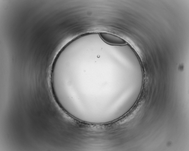 X0000103270901200809191739