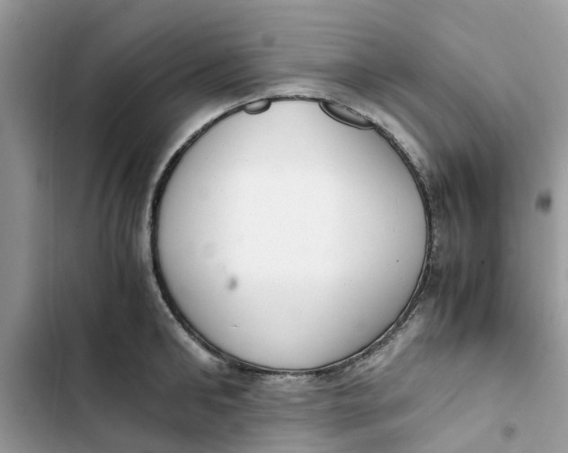 X0000103270902200809191739