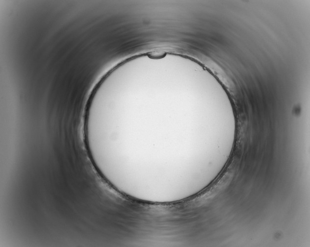 X0000103270904200809191739