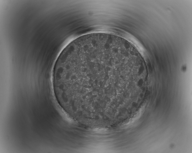 X0000103270907200809191739
