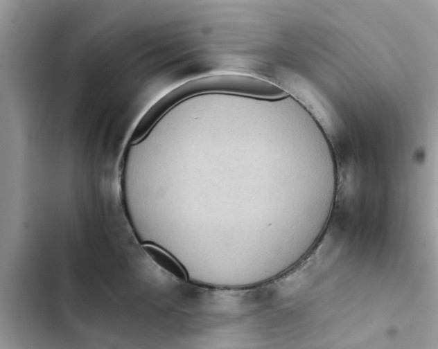 X0000103270908200809191739