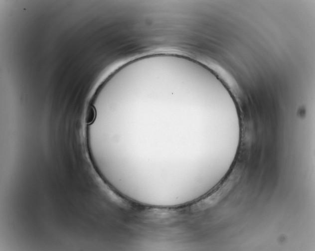 X0000103270910200809191739