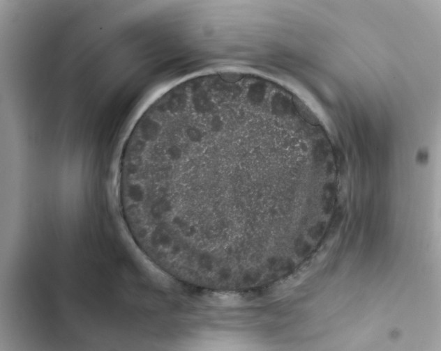 X0000103270911200809191739