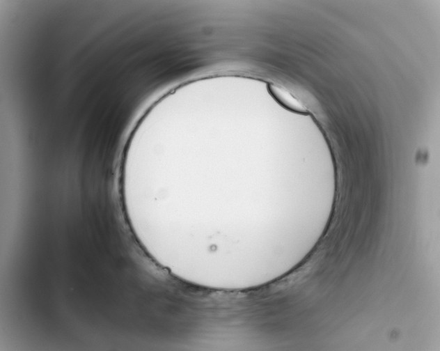 X0000103270912200809191739
