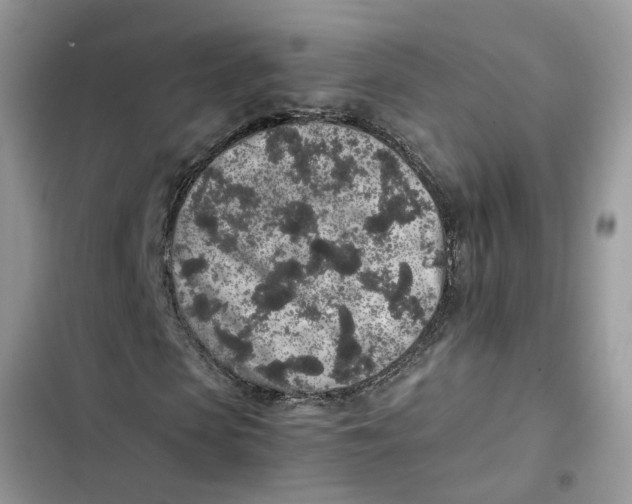 X0000103270913200809191739