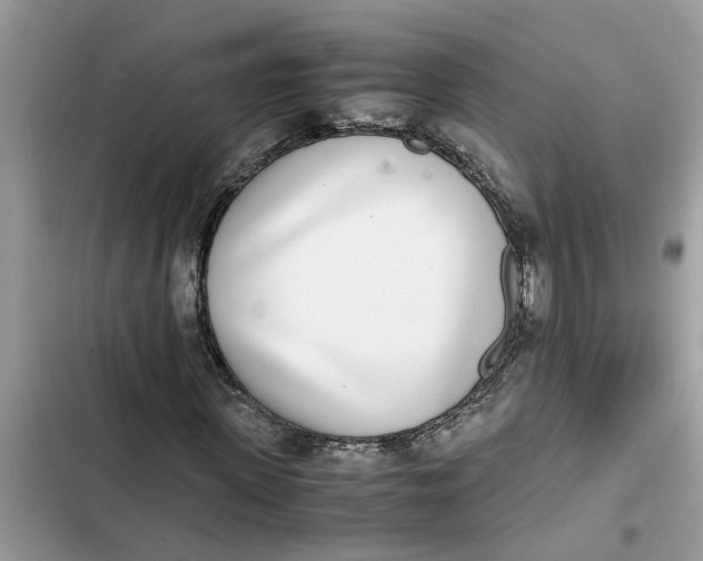 X0000103270915200809191739