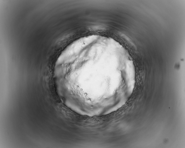 X0000103270917200809191739