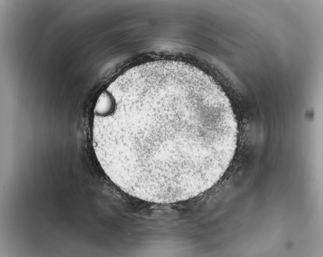 X0000103270918200809191739