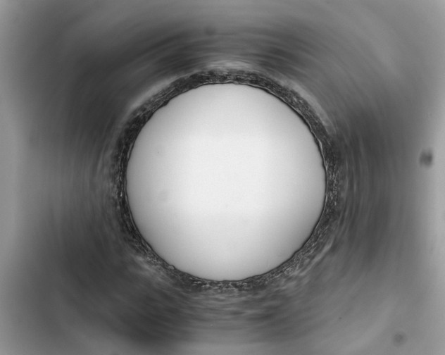 X0000103270919200809191739