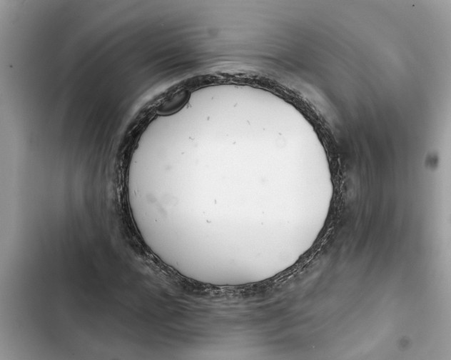 X0000103270920200809191739