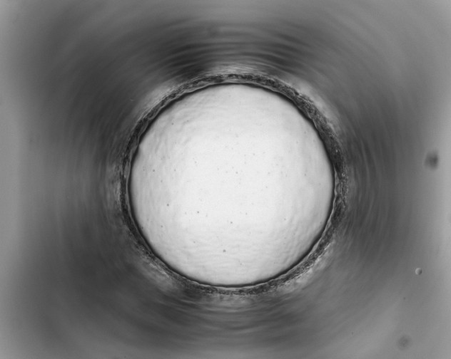 X0000103270921200809191739