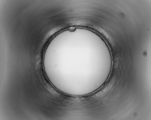 X0000103270922200809191739