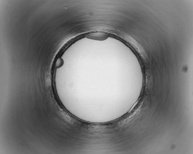 X0000103270924200809191739