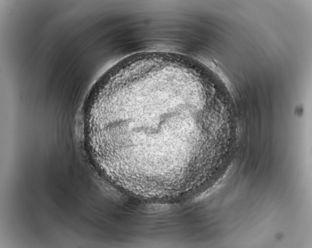 X0000103270925200809191739