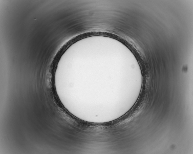 X0000103270926200809191739