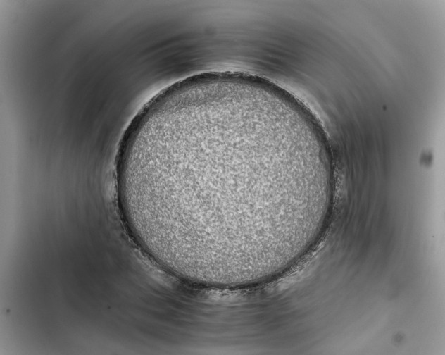 X0000103270927200809191739