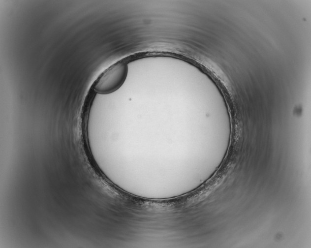 X0000103270928200809191739