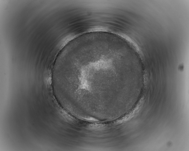 X0000103270929200809191739