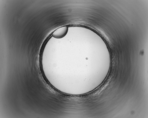 X0000103270932200809191739