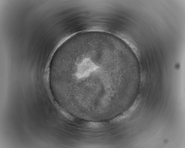 X0000103270933200809191739