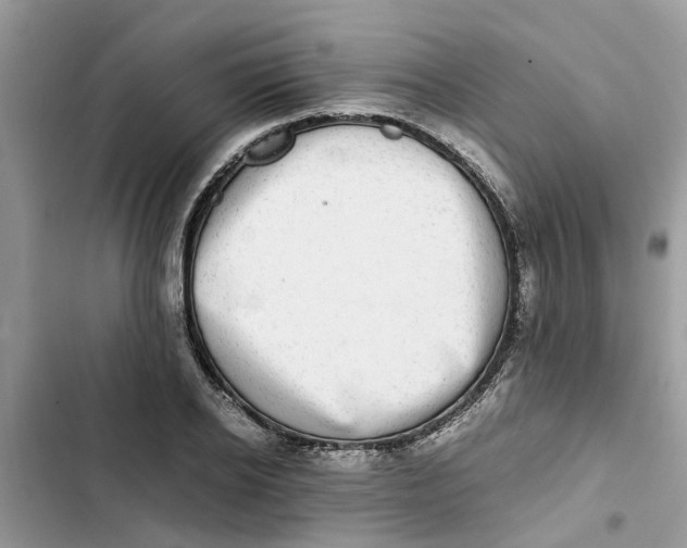 X0000103270934200809191739