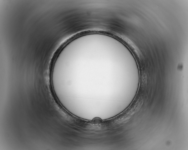 X0000103270935200809191739