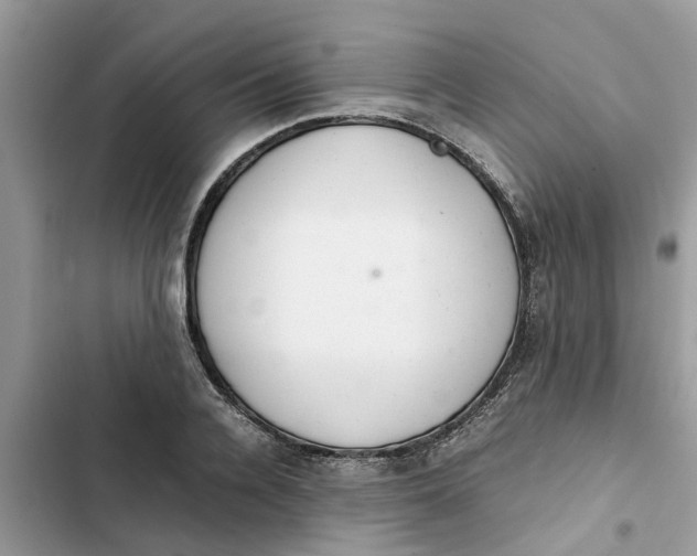 X0000103270936200809191739