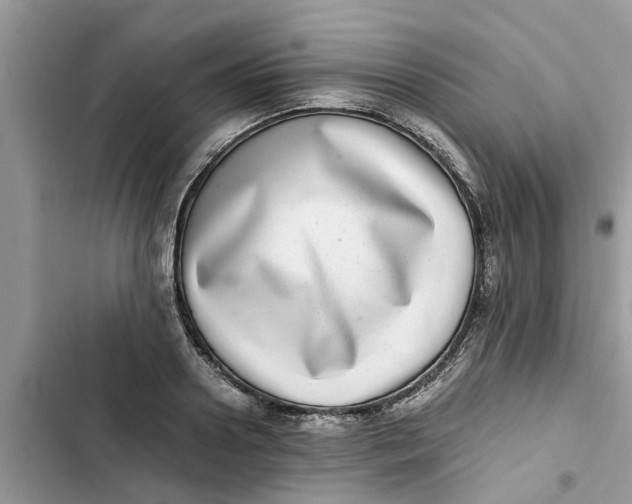 X0000103270938200809191739