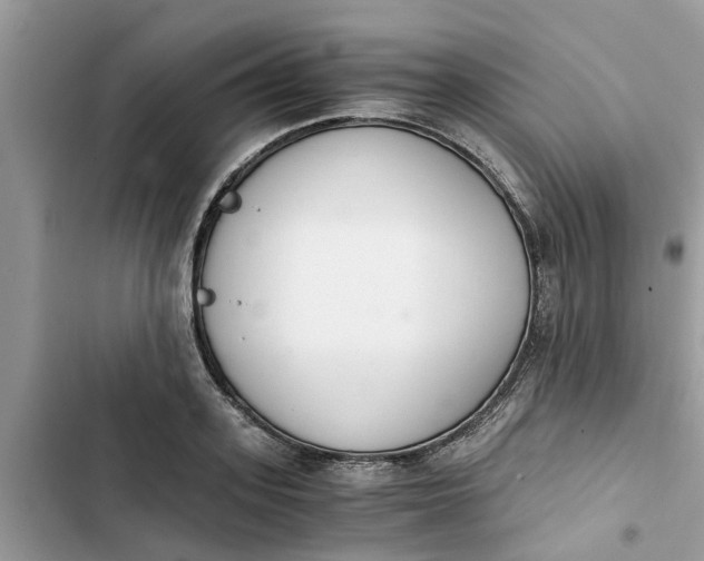 X0000103270939200809191739