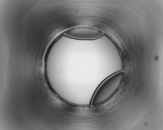 X0000103270940200809191739