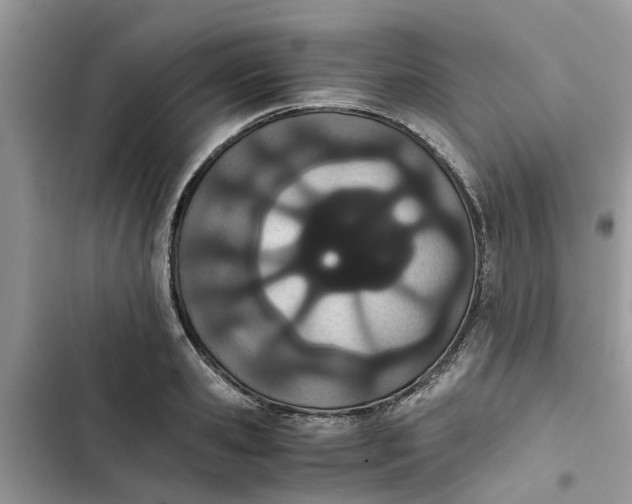 X0000103270941200809191739