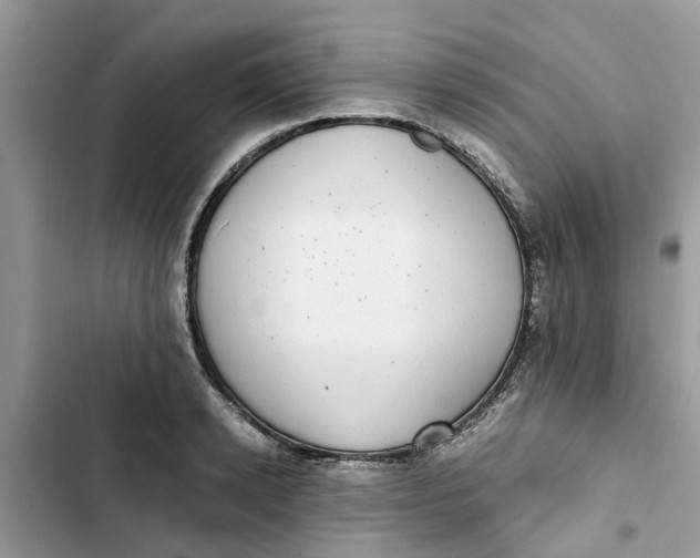 X0000103270942200809191739
