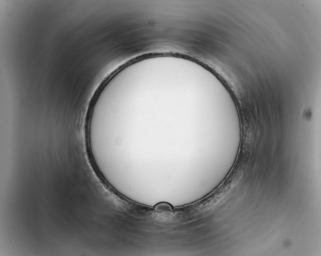 X0000103270943200809191739