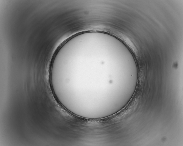 X0000103270944200809191739