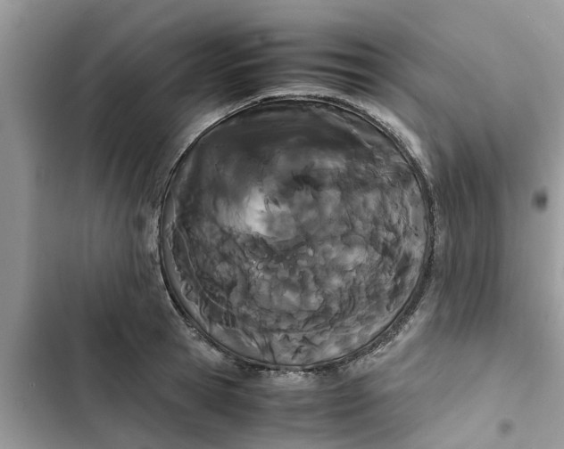 X0000103270945200809191739