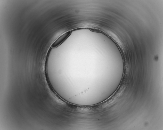 X0000103270946200809191739