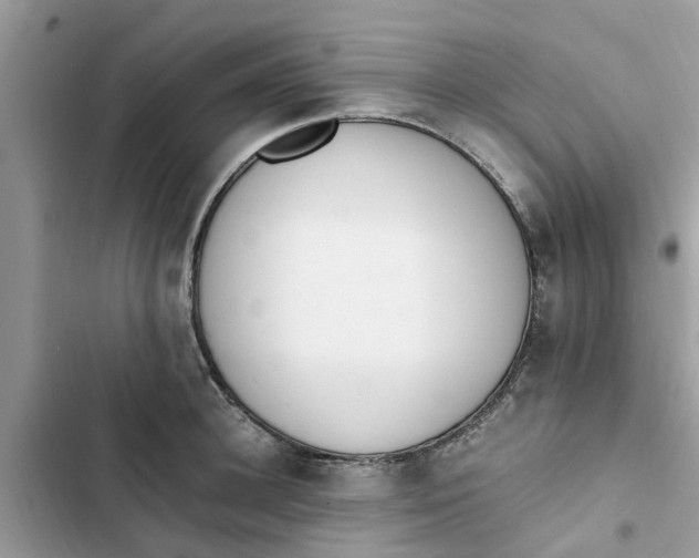 X0000103270948200809191739