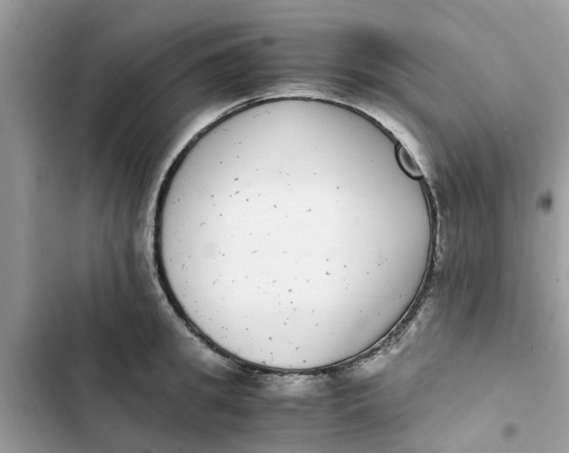 X0000103270949200809191739