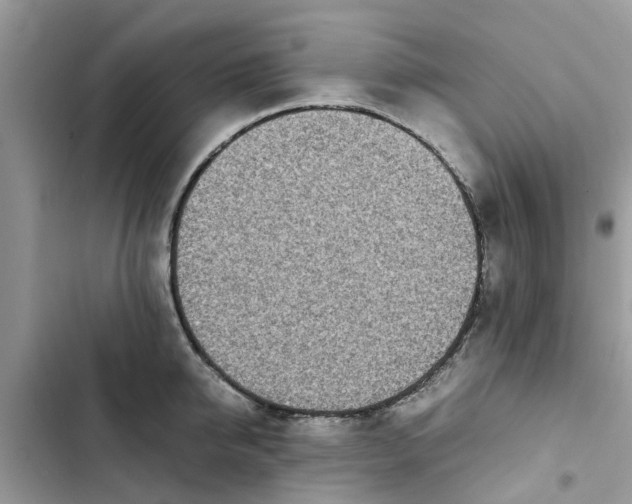 X0000103270950200809191739