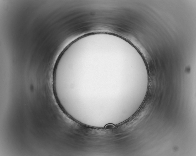 X0000103270951200809191739