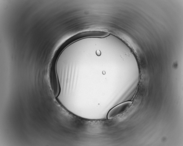 X0000103270952200809191739