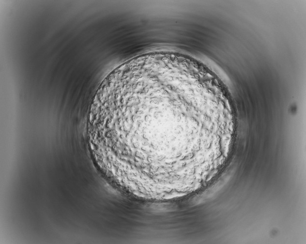 X0000103270953200809191739