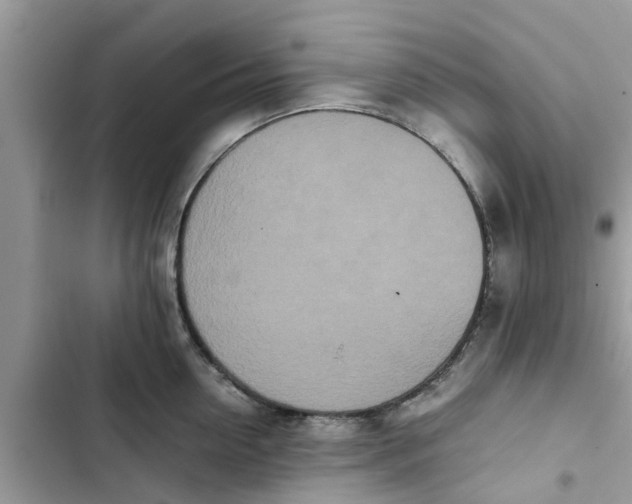 X0000103270954200809191739