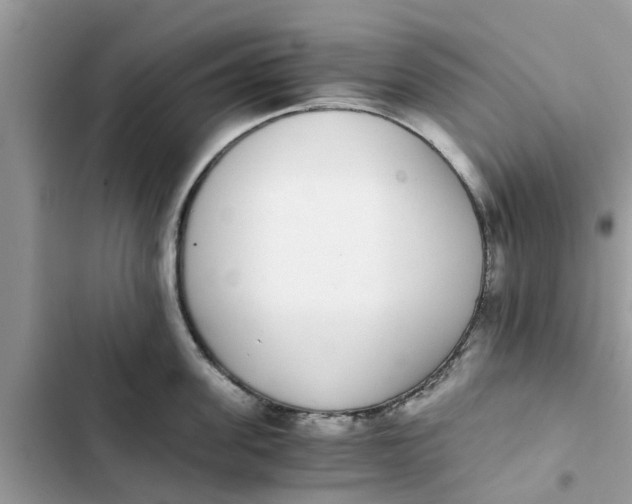 X0000103270955200809191739