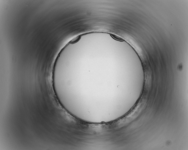 X0000103270956200809191739